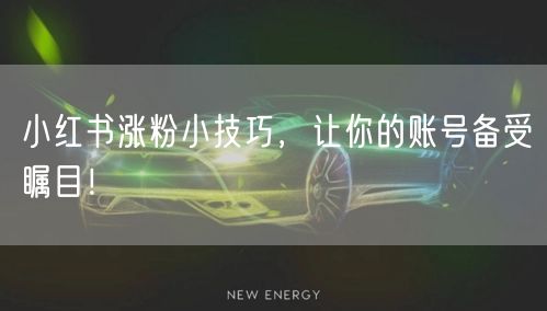 小红书涨粉小技巧，让你的账号备受瞩目！