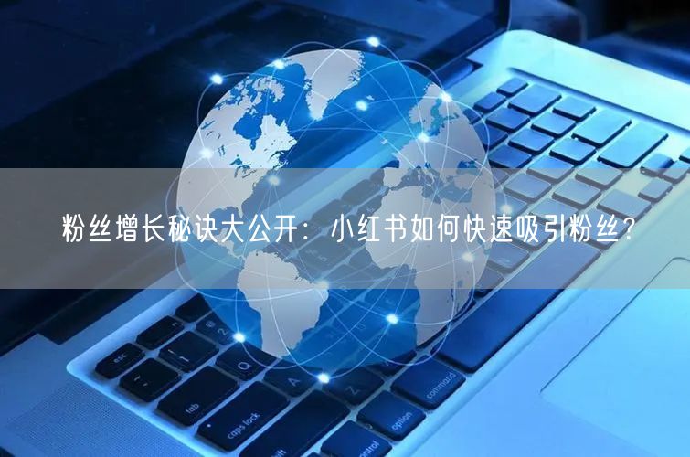 粉丝增长秘诀大公开：小红书如何快速吸引粉丝？
