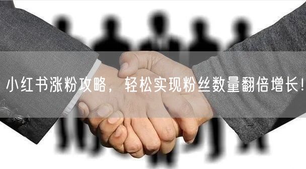 小红书涨粉攻略，轻松实现粉丝数量翻倍增长！