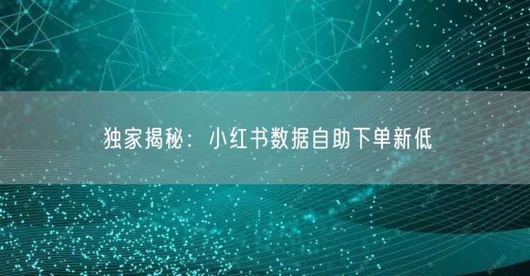 独家揭秘:小红书数据自助下单新低