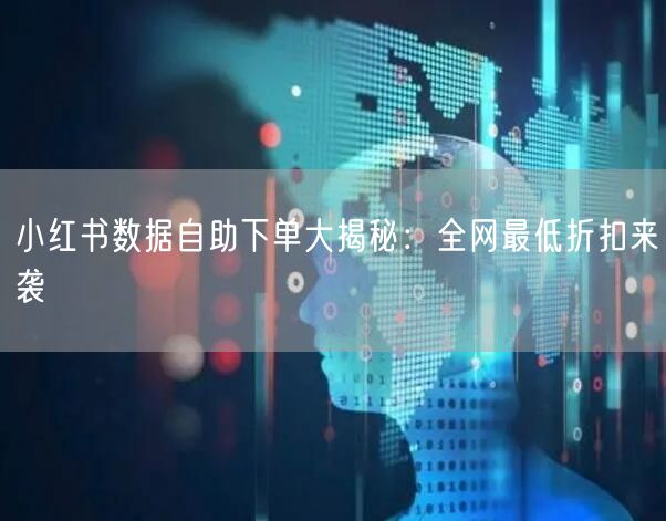 小红书数据自助下单大揭秘:全网最低折扣来袭