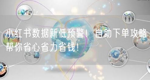 小红书数据新低预警!自助下单攻略帮你省心省力省钱!