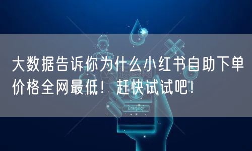 大数据告诉你为什么小红书自助下单价格全网最低!赶快试试吧!